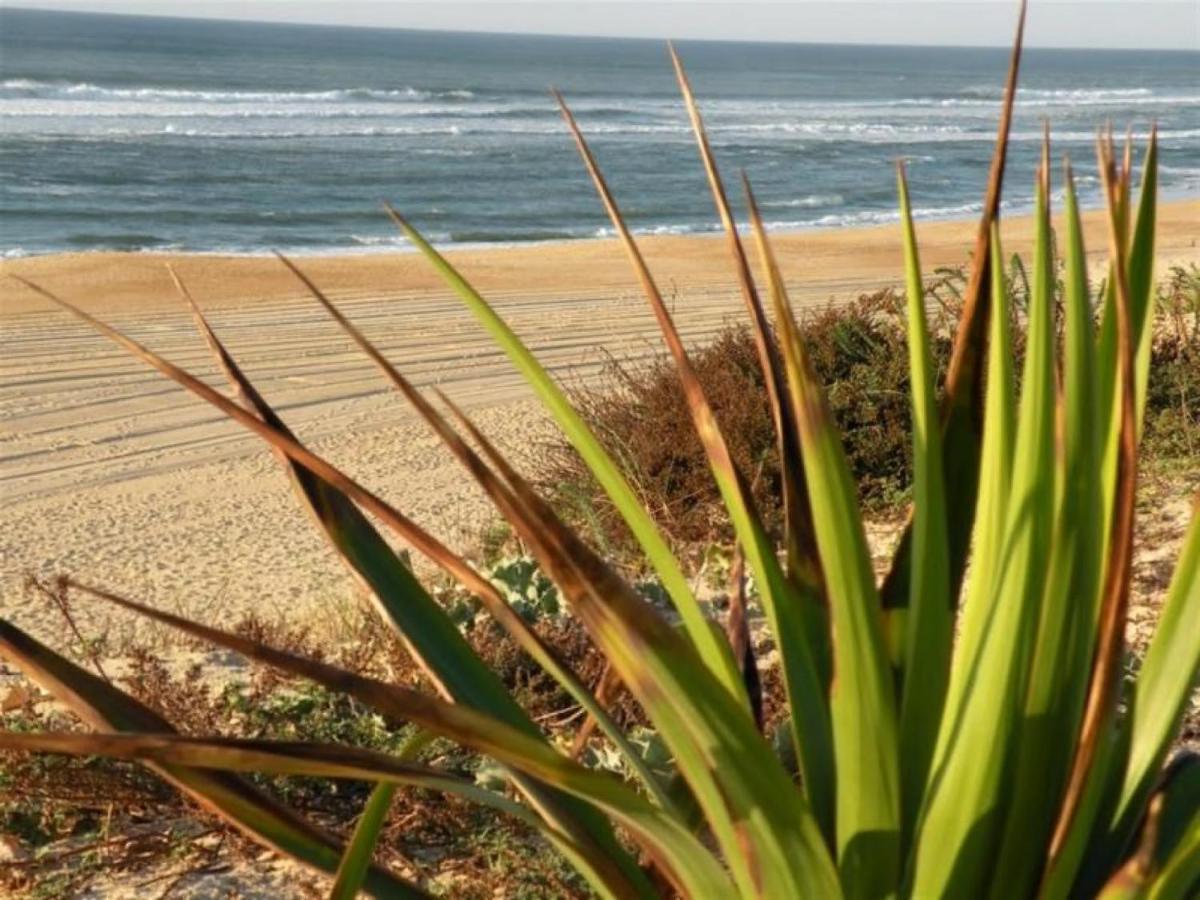 Studio Cosy Proche Ocean Et Commerces, Parfait Pour Des Vacances A Deux! - Fr-1-239-437 セノッス - ル・ペノン エクステリア 写真
