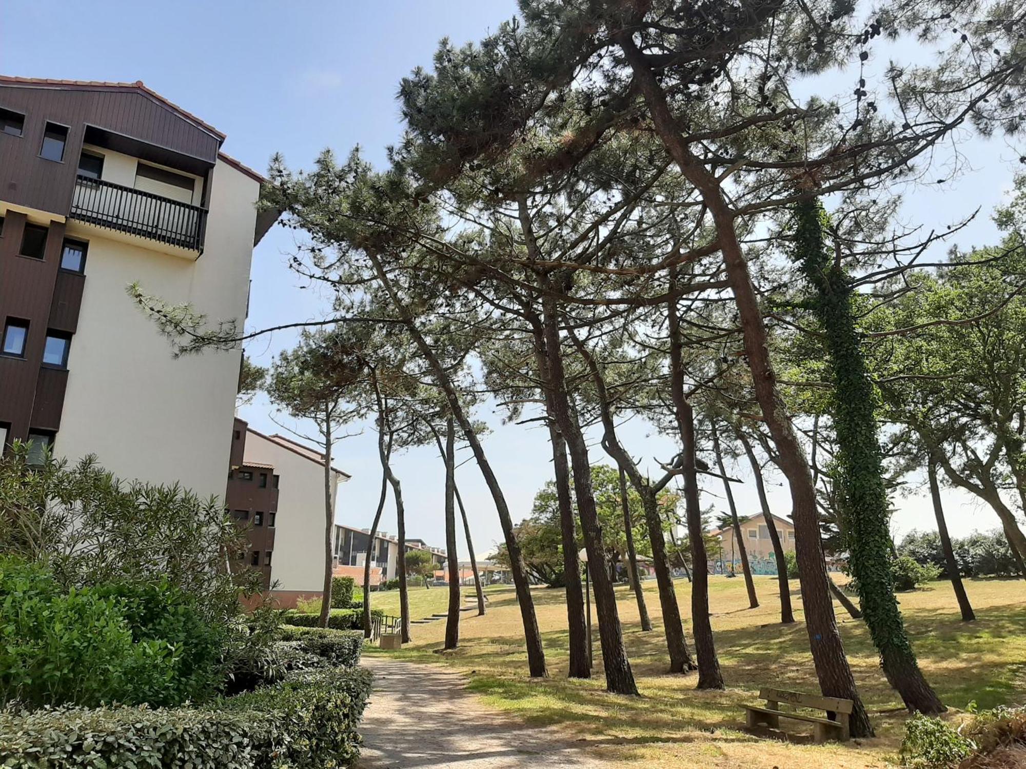 Studio Cosy Proche Ocean Et Commerces, Parfait Pour Des Vacances A Deux! - Fr-1-239-437 セノッス - ル・ペノン エクステリア 写真